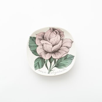 Botanica｜55｜ロサ・エリザベス / Rosa Elizabethの画像